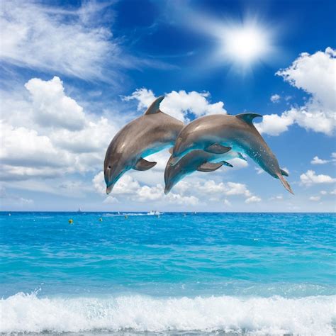 Premium Photo Three Jumping Dolphins Sunny Seascape With Deep Ocean