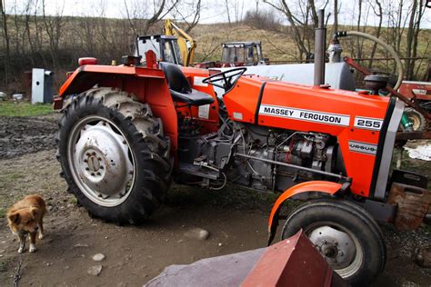 Ciągnik Traktor Massey Ferguson 255 stan oryginaln Opinie i ceny na