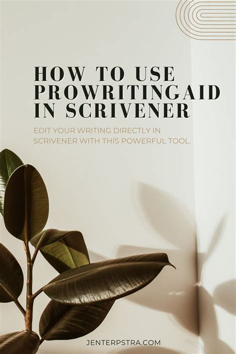 How To Use ProWritingAid In Scrivener Jen Terpstra