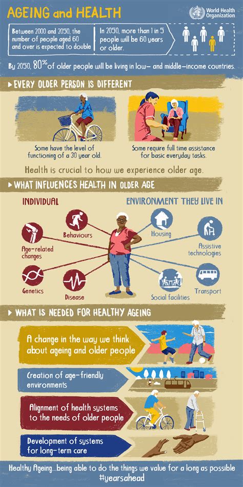 Healthy Ageing NSW Fall Prevention And Healthy Ageing Network