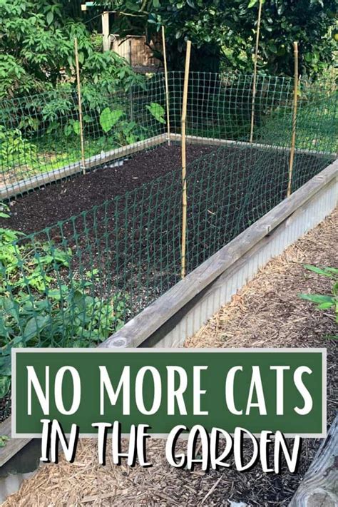 Keeping Cats Out Of The Garden Attainable Sustainable