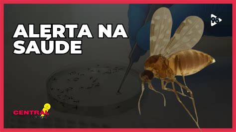 Minas Confirma Quatro Casos De Febre Oropouche Youtube