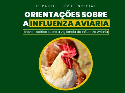 Orienta Es Sobre Influenza Avi Ria Anffa Sindical