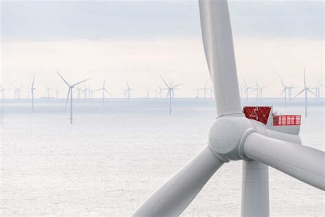 Wind Innovation Assumes Position At Veja Mate Offshore Wind