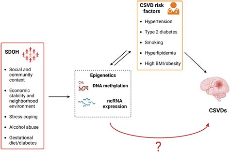 Social Determinants Of Health And Cerebral Small Vessel Disease Is