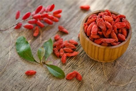 Bayas Goji Propiedades Para Qué Sirven Y Cómo Tomar Tua Saúde