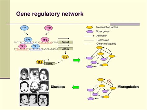 Ppt Special Topics In Genomics Lecture Introduction Powerpoint