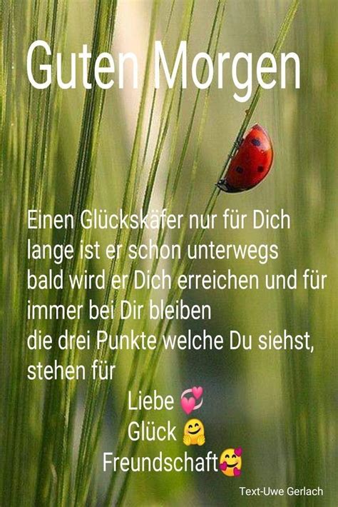 Pin Von Ingrid Elsner Kuba Auf Guten Morgen Guten Morgen Gruss Liebe