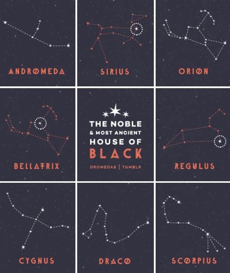 The Ancient And Noble House Of Black Names And Connotations Harry