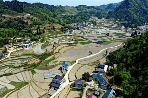 绥阳：撬动资源，实现巩固脱贫成果和乡村振兴“同频共振”发展建设