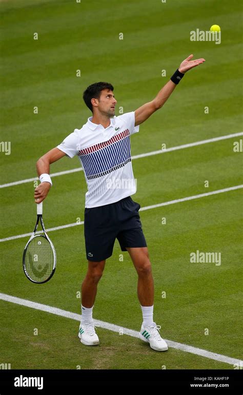 Novak Djokovic Playing Tennis Hi Res Stock Photography And Images Alamy