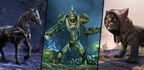 The Elder Scrolls Online Crown Store Showcase For February