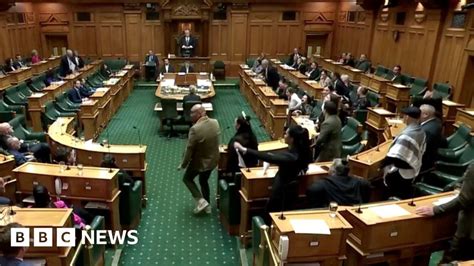 Maori Haka In Nz Parliament To Protest At Bill To Reinterpret Founding