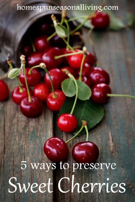 5 Ways To Preserve Sweet Cherries