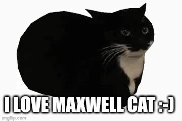 My Favorite Maxwell Cat Imgflip