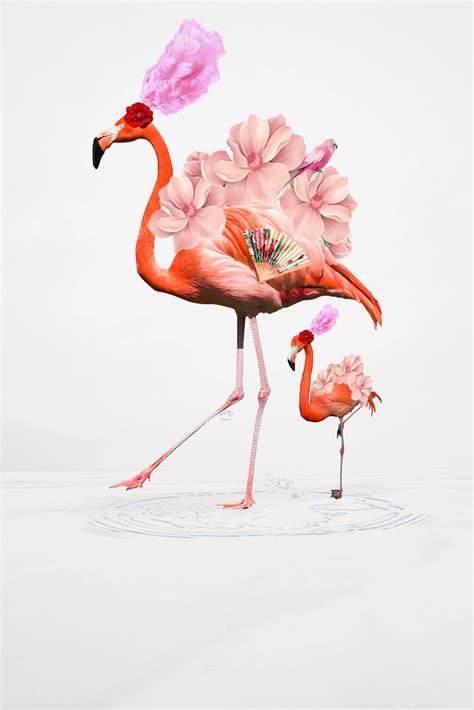 Flamingo Flamenco Dance On Behance