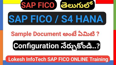 What Is A Sample Document And Configuration In SAP FICO S4 HANA Telguu