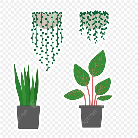 Hanging Plant Clipart Transparent Png Hd Hanging Plants And Potted