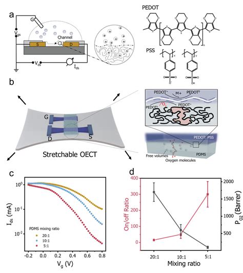 Intrinsically Stretchable Organic Electrochemical Transistors With