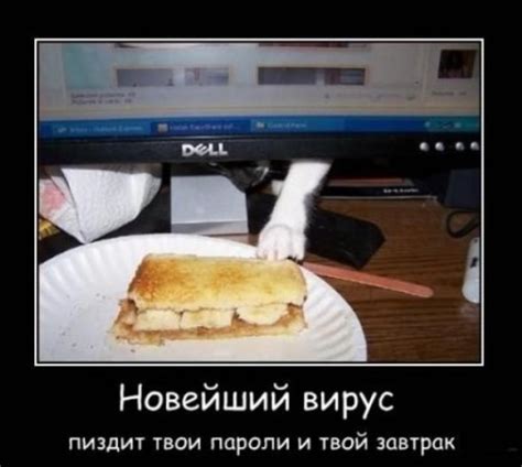 Скачать прикольные и красивые картинки: ржака)))))))) на fun.tochka.net