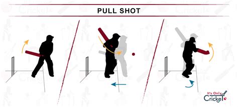 Learn 8 Basic Cricket Shots: How to Play as a Beginner