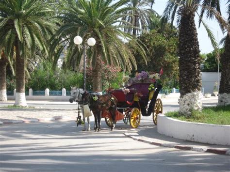 Musee Archeologique de Nabeul - 2021 All You Need to Know Before You Go (with Photos) - Nabeul ...