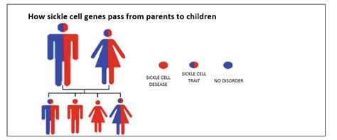 Kenya Sickle Cell Anaemia Clinics Bringing Relief To Kilifi Patients