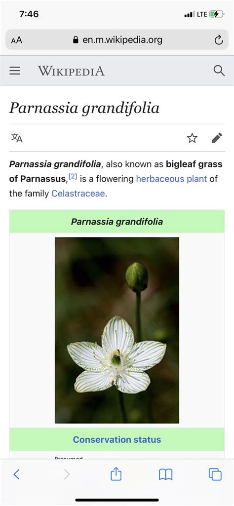 Pin By Deborah McNeese On Plant Names Plants Grass Conservation