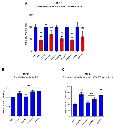 The Er Alpha Mutation Y S Confers Tamoxifen Resistance Via Enhanced