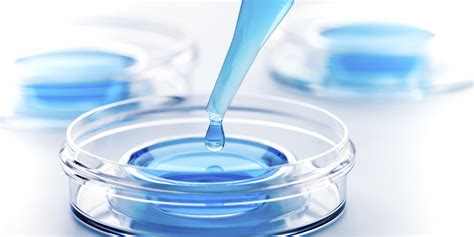 Quebec Should Not Put Age Limits On In Vitro Fertilization Marina Adshade