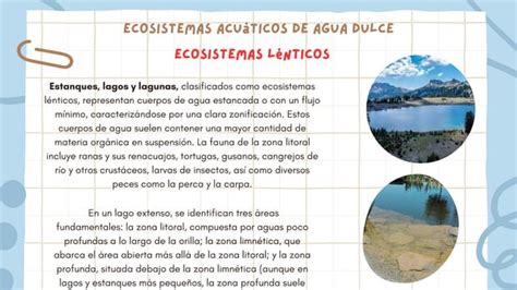 El Estudio De Los Ecosistemas Acuaticos Pdf