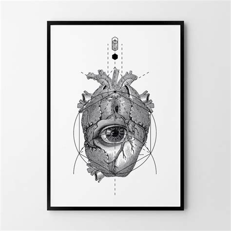 Plakat Hog Studio Anatomia Serca B X Cm Hog Studio Sklep