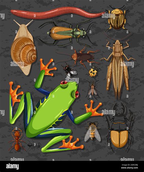 set   insects isolated stock vector image art alamy