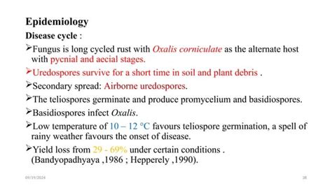 Diseases Of Sorghum And Their Management Ppt