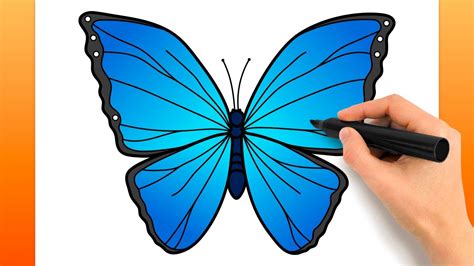 Comment Dessiner Un Papillon Morpho Bleu Tutoriel De Dessin Facile