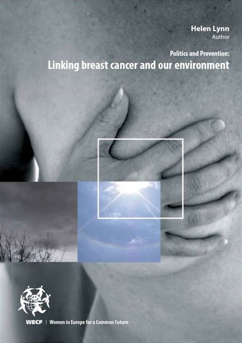 Linking Breast Cancer And The Environment Politics And Prevention Wecf