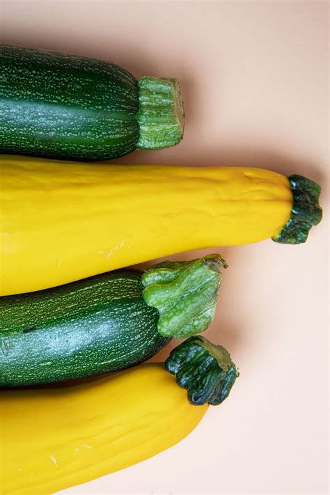 Everything to Know About Cooking and Shopping for In Season Zucchini ...