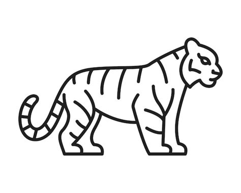 Premium Vector | Tiger drawing standing sideways