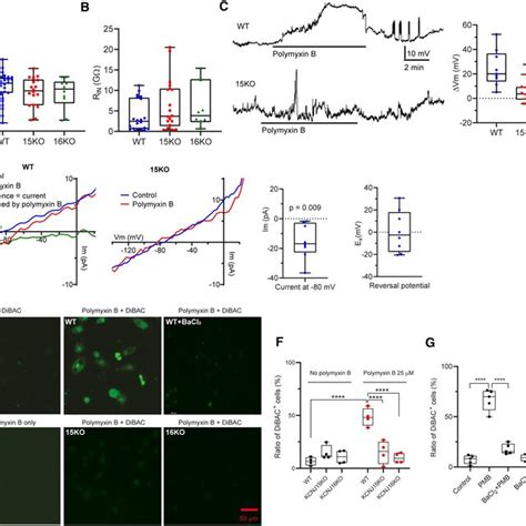 Identification Of Significant Genes Mediating Polymyxin Induced