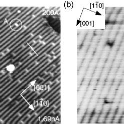 A An Empty State STM Image Of The Rutile TiO 2 110 11 Surface