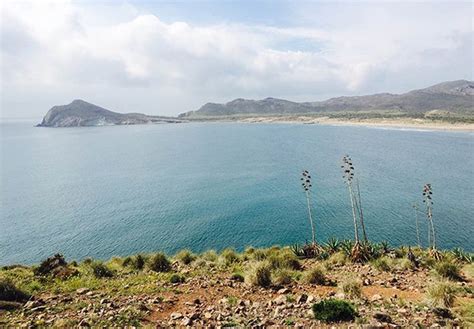 Almer A Y Cabo De Gata Los Hoteles Restaurantes Playas Y Rincones