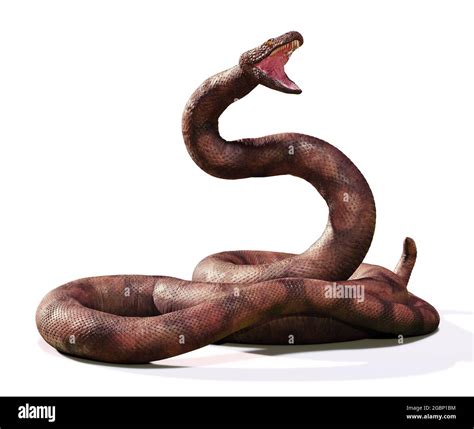 Titanoboa La Serpiente M S Grande Que Ha Vivido Aislada Sobre Fondo