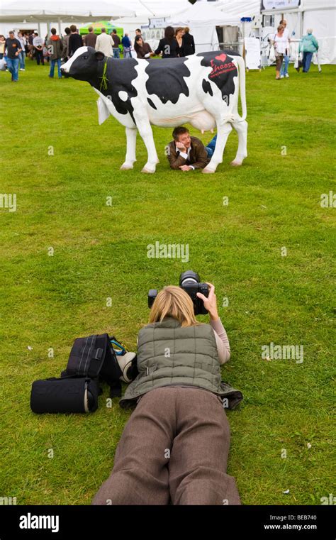 Photographer shooting actor and cheesemaker Sean Wilson under a cow at ...