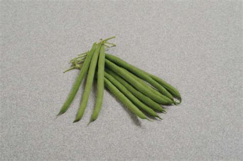 7 Top-Performing Bean Varieties - Growing Produce