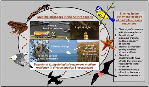 Frontiers Editorial Behavioral Ecological Insights Into Organismal