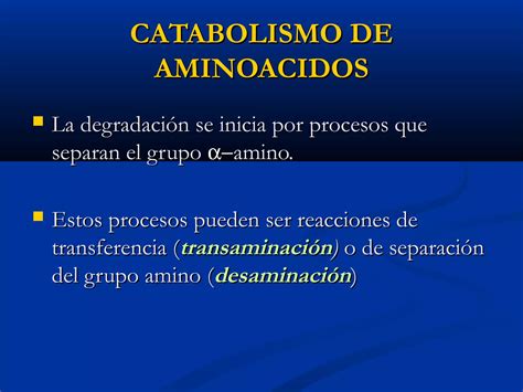 Nutricion Ix Digestion Y Metabolismo De Proteinas Y Aminoacidos PPT