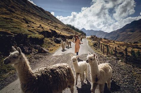 Valle De Lares Trekking Lares La Ruta Alternativa A Machu Picchu