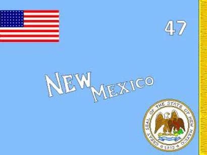 New Mexico State Flags Nylon Polyester 2 X 3 To 5 X 8 US