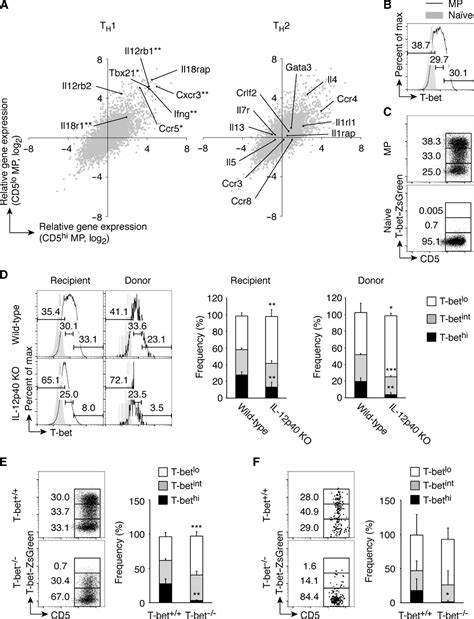 Memory Phenotype Cd T Cells Spontaneously Generated Under Steady