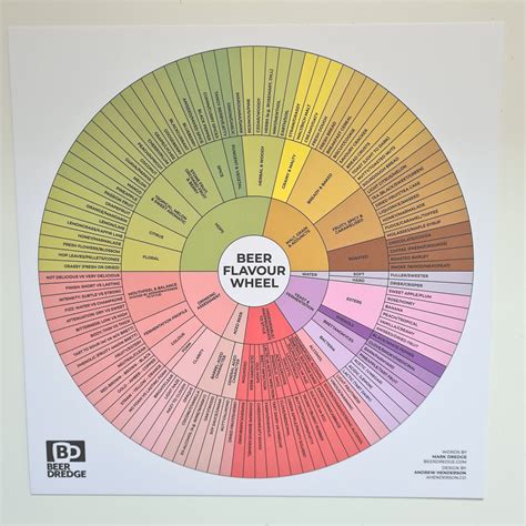 Beerdredge Flavour Wheel Set Enhance Beer Tasting Education